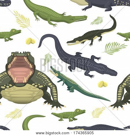 Cartoon green crocodile danger predator and australian wildlife river reptile carnivore alligator with scales teeth flat vector illustration. Tropical africa safari zoo character crocodylus.