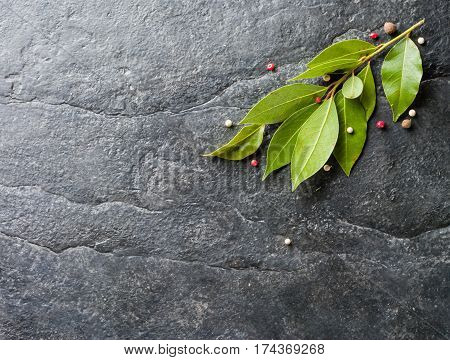 Sprig Of Fresh Bay Leaf And Pepper On Black Stone Background.
