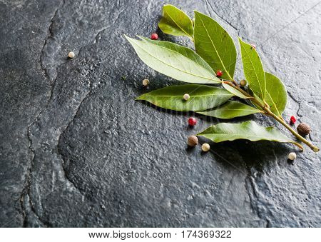 Sprig Of Fresh Bay Leaf And Pepper On Black Stone Background.