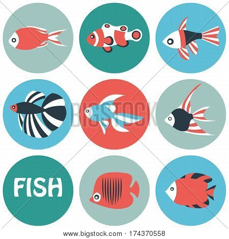 Stylized aquarium ornamental river and sea color fish