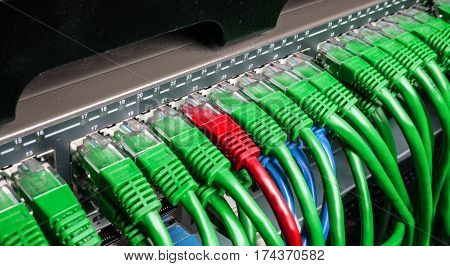 Server rack with green and red internet patch cord cables connected to black patch panel in server room horizontal. Uniqueness concept