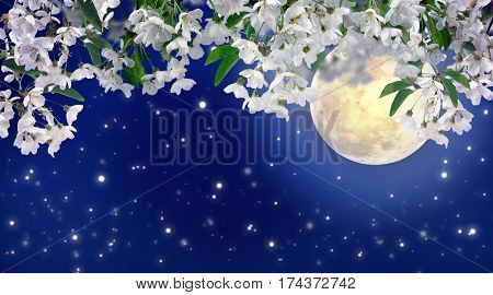 Beautiful spring night in the cherry orchard. The stars and the moon on a dark blue night sky. Romance. Relax. Lovely season