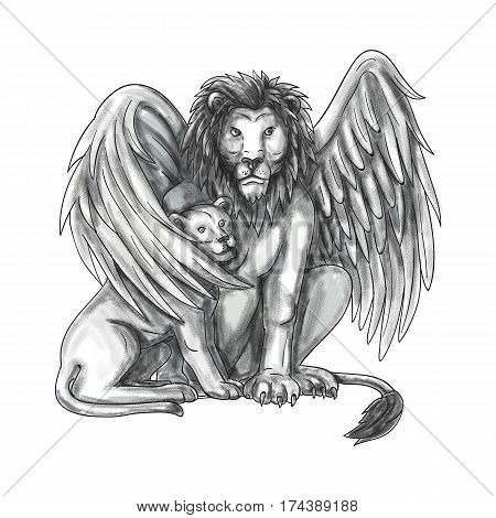 Tattoo style illustration of a winged lion a mythological creature that resembles a lion with bird-like wings protecting its cub by putting it under it's wing set on isolated white background viewed from front.