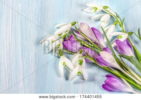 Flower arrangement with crocuses and snowdrops