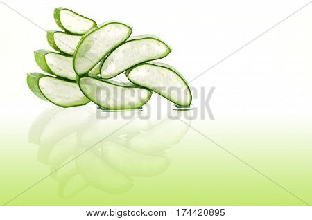 Slice Aloe Vera A Very Useful Herbal Medicine For Skin Care And Hair Care.