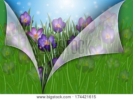 Illustration of border from purple crocus flowers and paper with curled corners