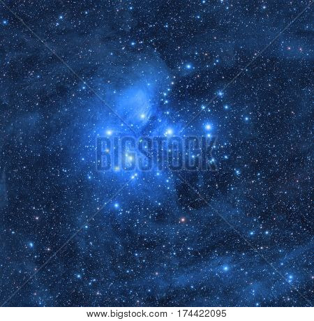 Pleiades star cluster in the constellation of Bull.