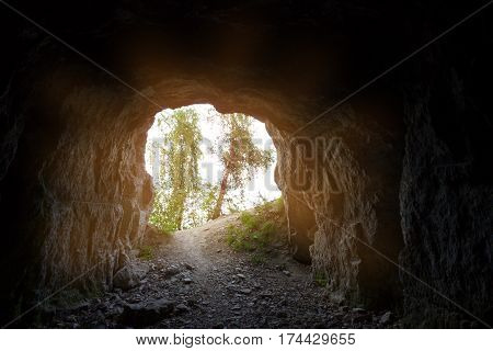 Entrance To The Cave