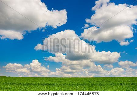Green Grass And Blue Sky With White Clouds