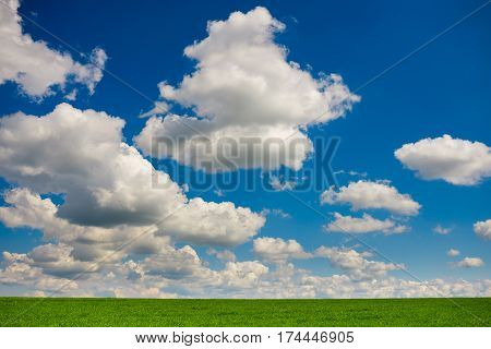 Green Grass And Blue Sky With White Clouds