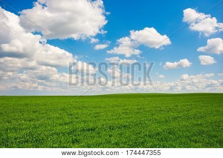 Green Grass And Blue Sky With White Clouds