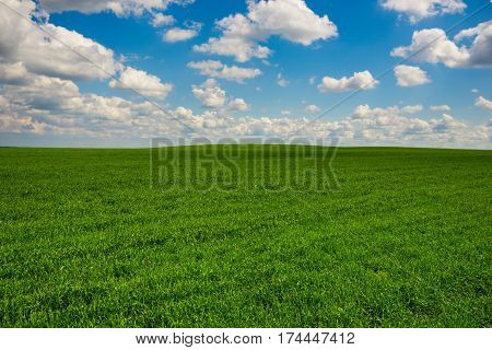 Green Grass And Blue Sky With White Clouds
