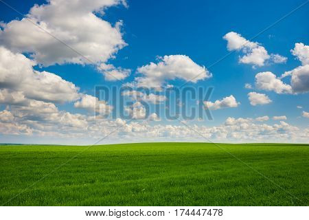 Green Grass And Blue Sky With White Clouds