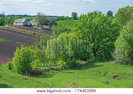 Rustic homestead located on a hillside in spring time during the plowing of land