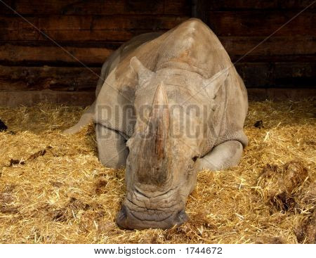 Woburn0038A