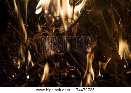 The fire from the burning bales of soya, photographed stove in a small village near Novi Sad, Serbia
