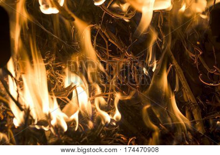 The fire from the burning bales of soya, photographed stove in a small village near Novi Sad, Serbia