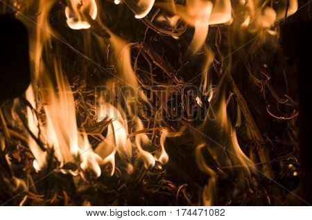 The fire from the burning bales of soya, photographed stove in a small village near Novi Sad, Serbia