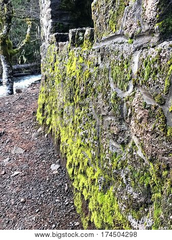 A moss covered rock wall that provides a lookout point for Sahalie Falls on the the Mackenzie River in Western Oregon on a wet winter day.