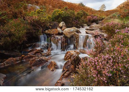 A small mountain stream in Cwm Bychan near Beddgelert in the Snowdonia National Park in North Wales. Shot with a long exposure to accentuate the flow of the water