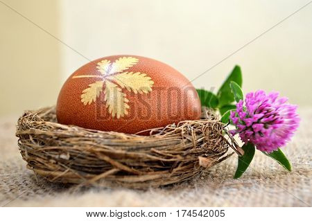 Easter egg in the nest and red clover flower canvas background