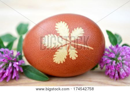 Happy Easter card: Brown egg with leaf pattern and red clover flowers