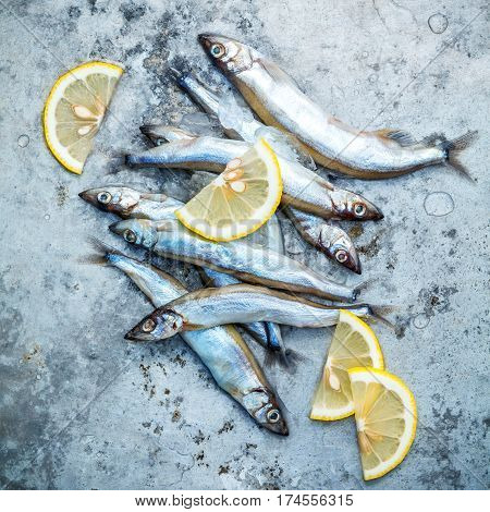 Fresh Catch Shishamo Fish Fully Eggs Flat Lay On Shabby Metal Background. Shishamo Fish Is Popular F