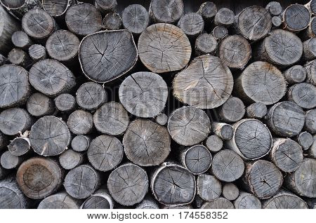 Stack of old gray birch chocks on the ground