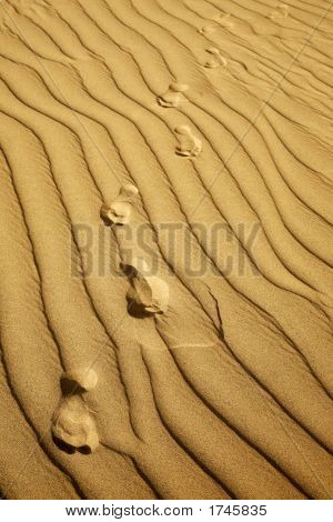 Dune fodspor