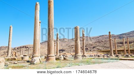 In Iran     Persepolis