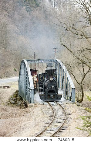 Stoomtrein, Ciernohronska Railway, Slowakije