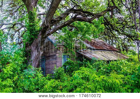 Hidden Old Abandoned Shack In Texas