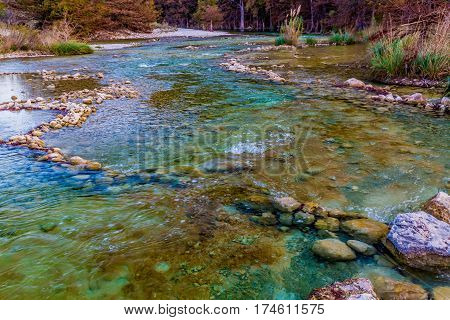 Fall Foliage On The Crystal Clear Frio River In Texas.