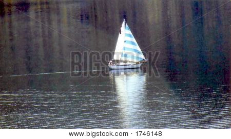 Vela