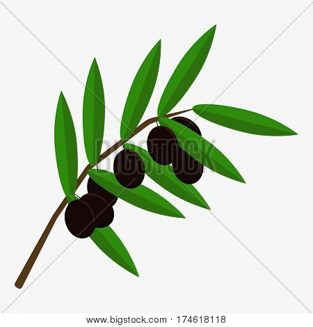 Olive Branch Icon