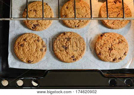 Freshly Baked homemade Chocolate chip cookies on baking pan. Top view