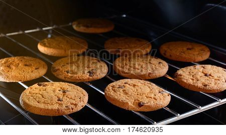 Homemade Chocolate chip cookies baking on rack in home oven.