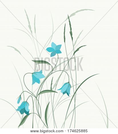 Vector illustration blue bell-shaped flowers in the grass. Summer flowers Campanula