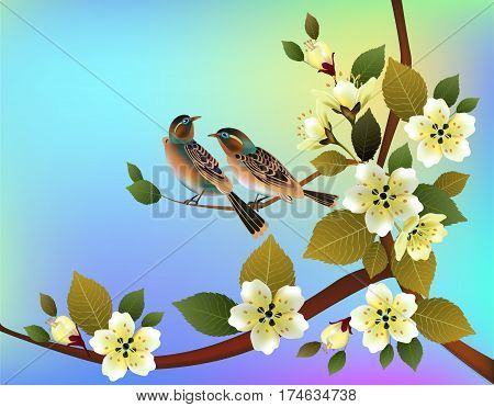 Nature background with blossom branch of pink sakura flowers. Vector template isolated