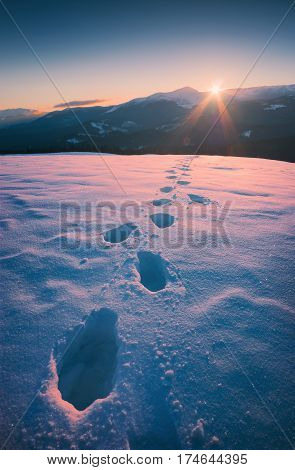 Beautiful winter sunset in a Carpathian mountain valley with track on a fresh snow. Majestic landscape. Ukraine Europe