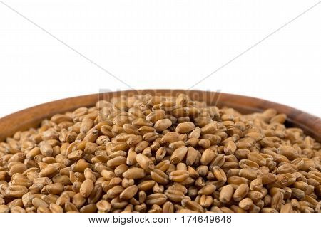 Wheat Grain In Bowl