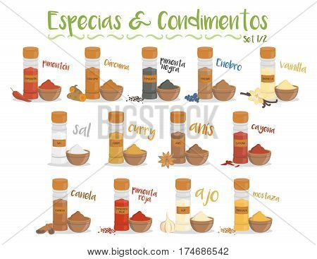 Set of 13 different culinary species and condiments in cartoon style. Set 1 of 2. Spanish names.