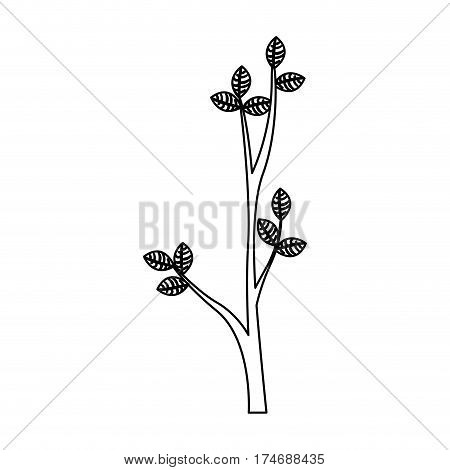 silhouette ramification with leaves nature design vector illustration