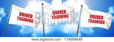 driver training, 3D rendering, triple flags