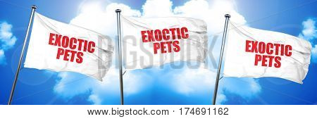 exoctic pets, 3D rendering, triple flags