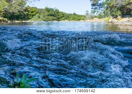 Bubbling water Kerikeri River rapids with surrounding rock and bush just out of Kerikeri on Kerikeri River in Bay of Islands