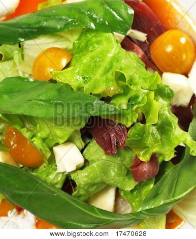 Salat - geräucherter Magret (Entenbrust) mit roten Chaud-Froid-Sauce. Besteht aus Tomaten und Gemüse Blatt.