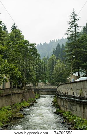 Mountain river in the forestin the mountains