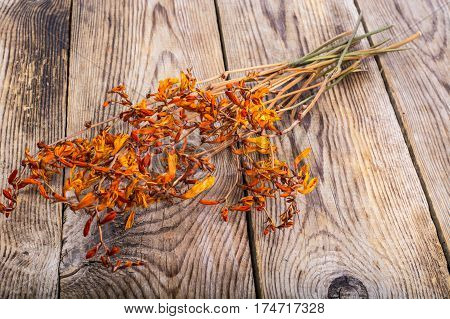 Dried flowers Crocosmia on wood. Studio Food Photo