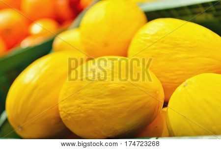 Fresh yellow melons displayed in a greengrocery.